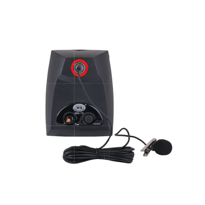 WEST SOUND MM 75 Masa Tipi Yaka Mikrofonu