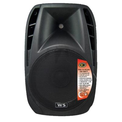 West Sound TKS 12 DC 12'' 250 Watt Portatif Şarjlı Mikserli Anfi